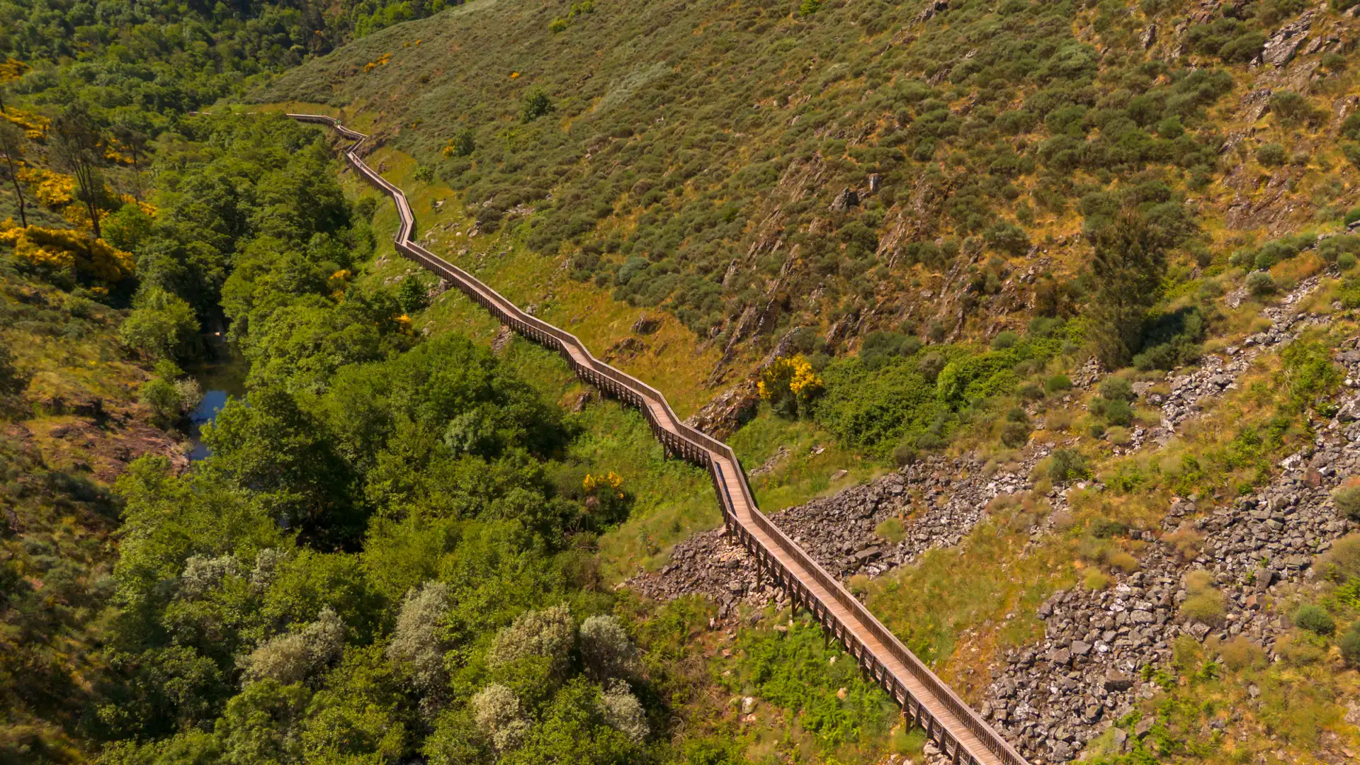 Birds-eye view of a valley in the mondego river